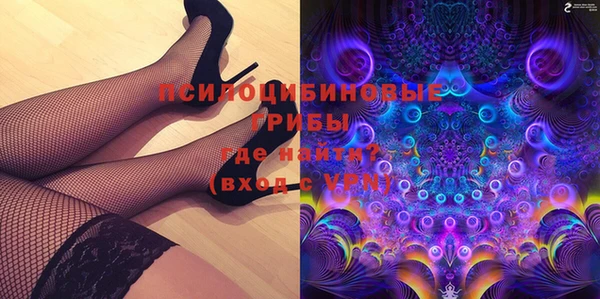 сатива Армянск