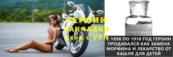 шишки Арсеньев
