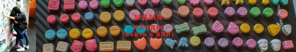 шишки Арсеньев