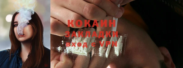 шишки Арсеньев