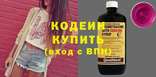 шишки Арсеньев