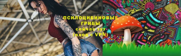 сатива Армянск