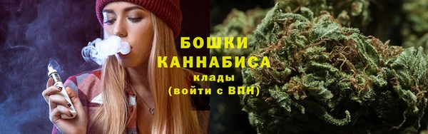 сатива Армянск