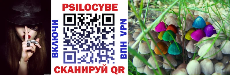 omg ссылки  Салехард  Псилоцибиновые грибы прущие грибы 