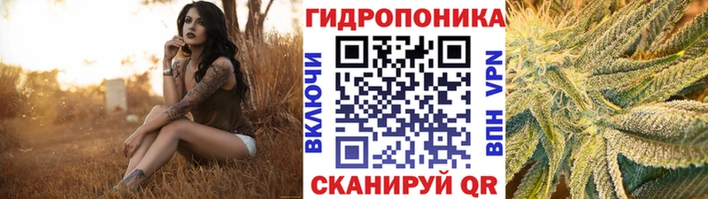 Конопля ГИДРОПОН  kraken как войти  Салехард 